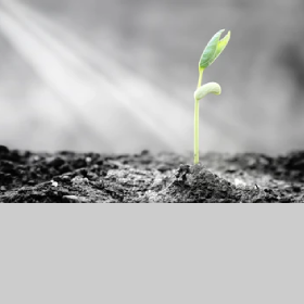 Spiritual Growth